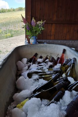 Mit Abstand der schönste Fleck für eine kleine Weinwanderung